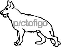 Original hand drawn icon by Pictofigo for dog